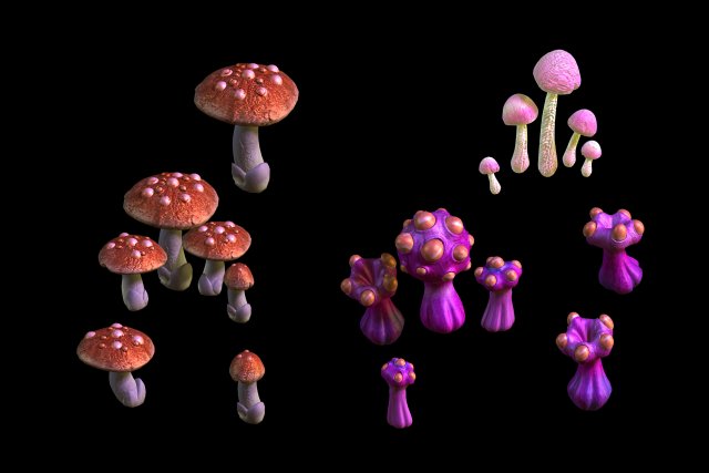 Game – Strange Mushroom Collection 3D Model