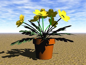 Flower 03 Free 3D Model