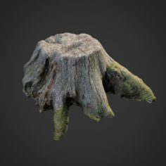 3d scanned nature tree stump 004 3D Model