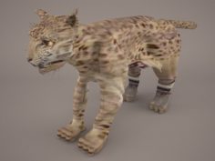 Cheetah 1 3D Model