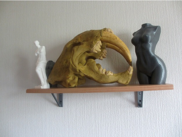Wall Shelf support 3D Print Model