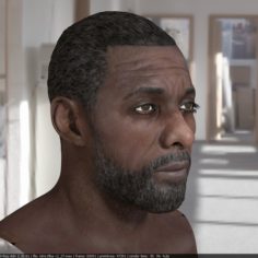3d model Idris Elba head V2 3D Model