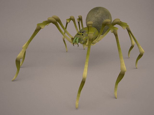 Phoneutria spider 3D Model