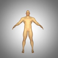 Male body 3D Model
