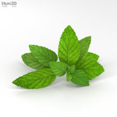 Peppermint 3D Model