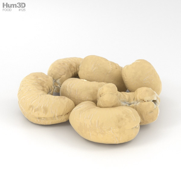 Cashew 3D Model