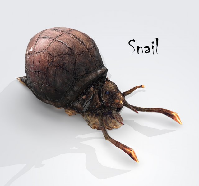 Snail 3D Model