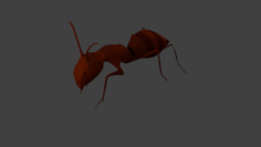 Realistic Ant model 3D Model