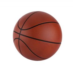 Basket ball 01 3D Model