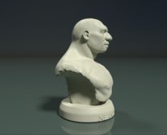 Neanderthal bust 3D Model