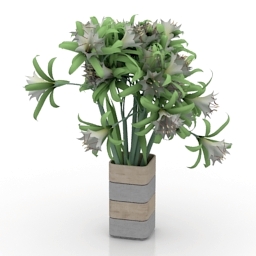 Vase 3D Model