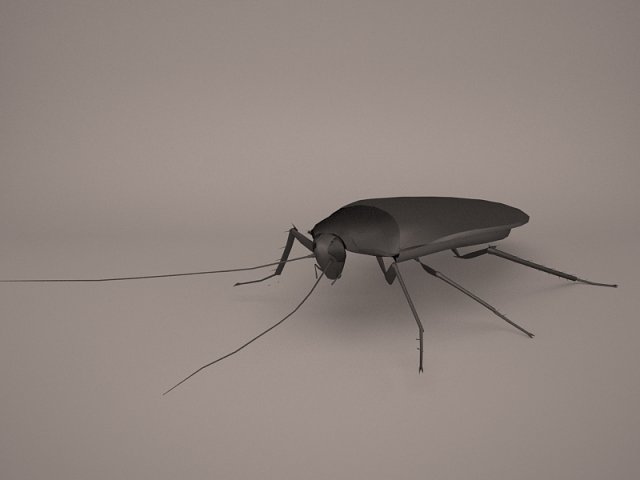 Roach 3D Model