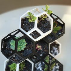 Plantygon – Modular Geometric Stacking Planter for Succulents 3D Print Model