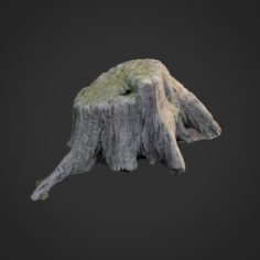 3d scanned nature tree stump 005 3D Model