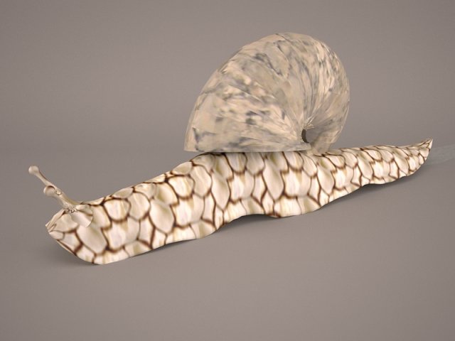 Snail 3D Model