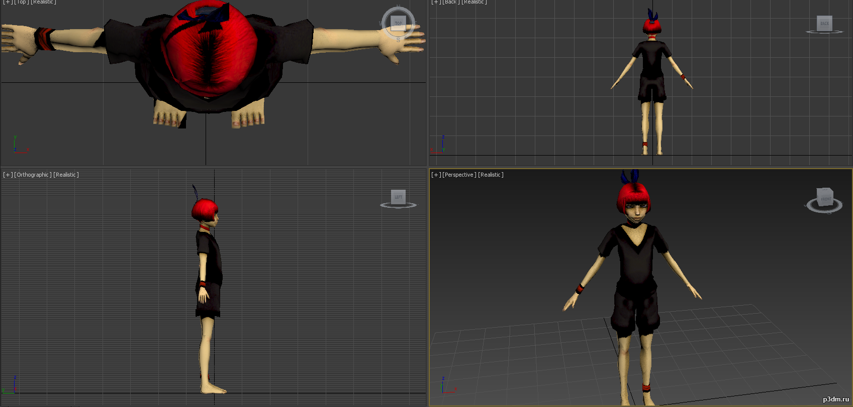 Ginger 3D Model