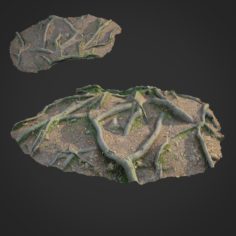 3d scanned nature forest roots 010 3D Model