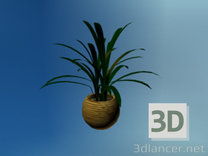 3D-Model 
plant