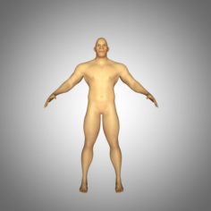 Male model 3D Model