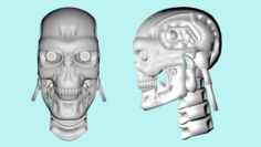 Terminator 3D Model