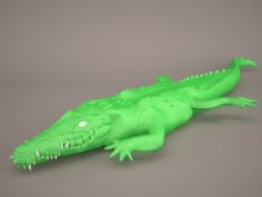 Cartoon Crocodile 3D Model