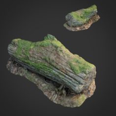 3d scanned nature forest stuff 001 3D Model