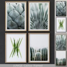 JUNIQE Cactus framed 3D Model