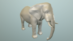 Elephant for modeling and animation 3D Model