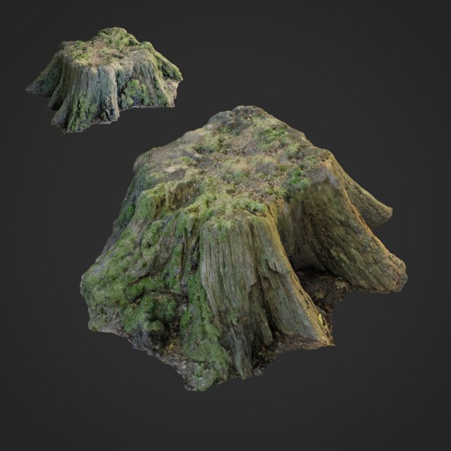 3d scanned nature tree stump 006 3D Model