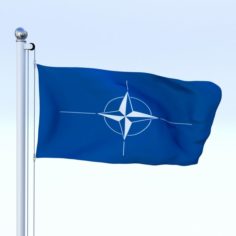 Animated Nato Flag 3D Model