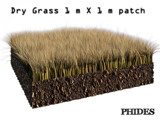 Dry grass 1 3D Model