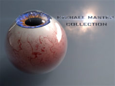 Realist Human Eye Master Collection with Rig 3D Model