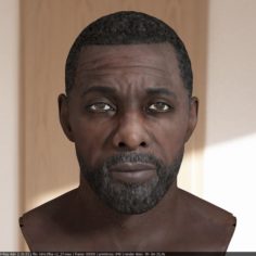 Idris Elba head V2 3D Model