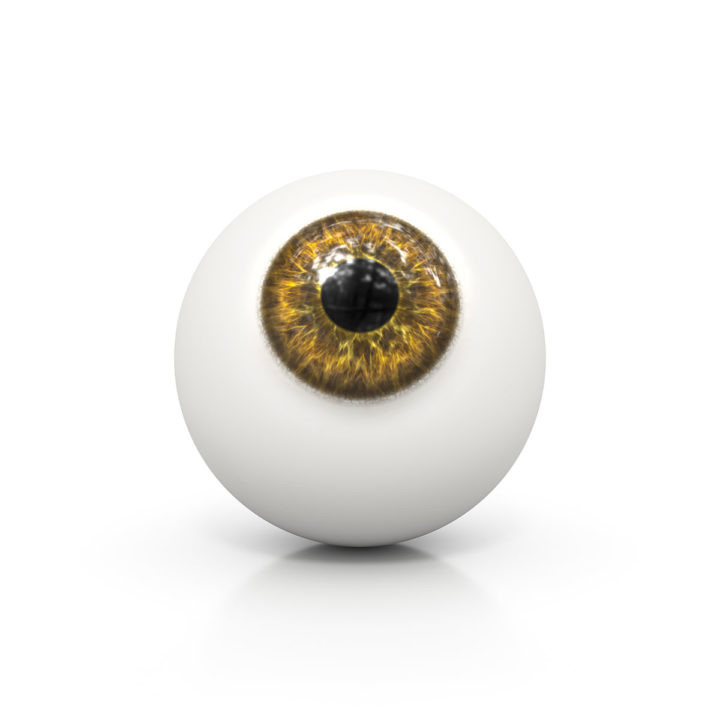 Eye Ball Brown 3D Model