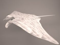 Manta Ray 3D Model