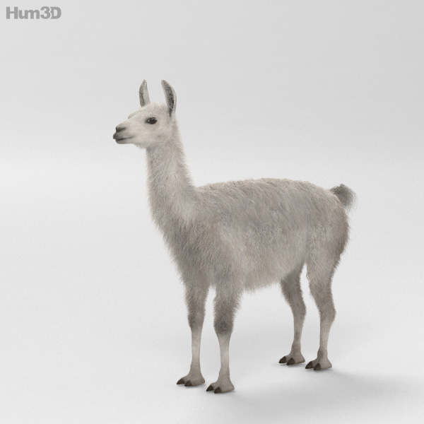 Llama HD 3D Model