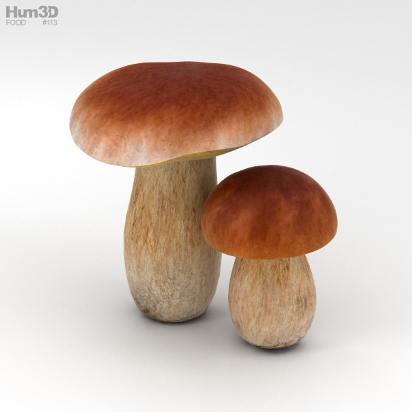 Porcini 3D Model