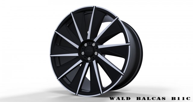 WALD BALCAS B11C 3D Model