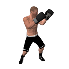 Boxer rig 3D Model