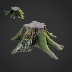 3d scanned nature tree stump 007 3D Model