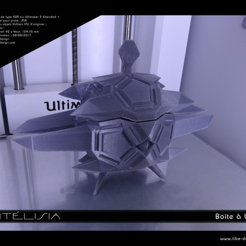 Antelisia Box 3D Print Model