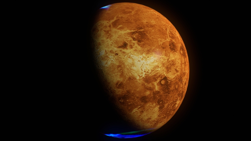Venus 8k 3D Model