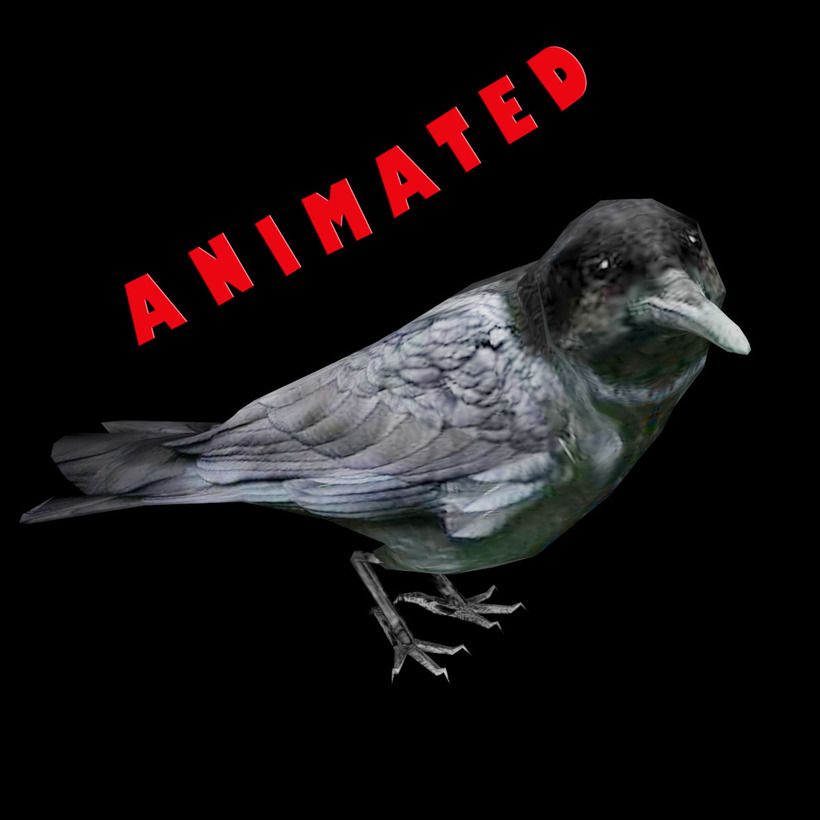 Crow Animated 3D Model