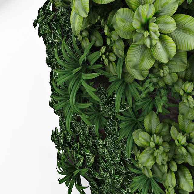 Green wall for exterior and interior 3D Model