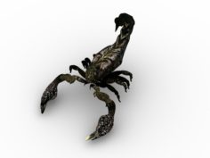 Scorpion 3D Model