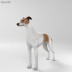 Greyhound HD 3D Model
