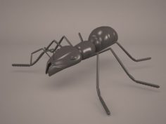 Ant Animal 1 3D Model