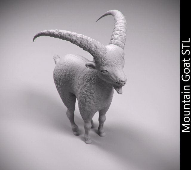 Mountain Goat Stl 3D Model