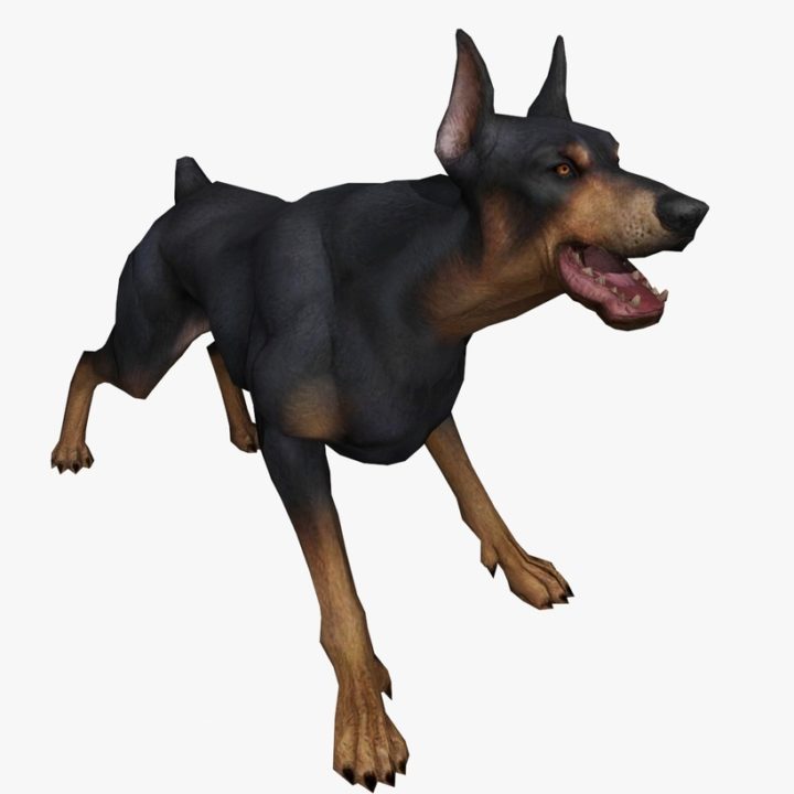 Doberman Animated 3D Model