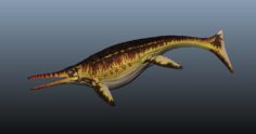 Shonisaurus 3D Model